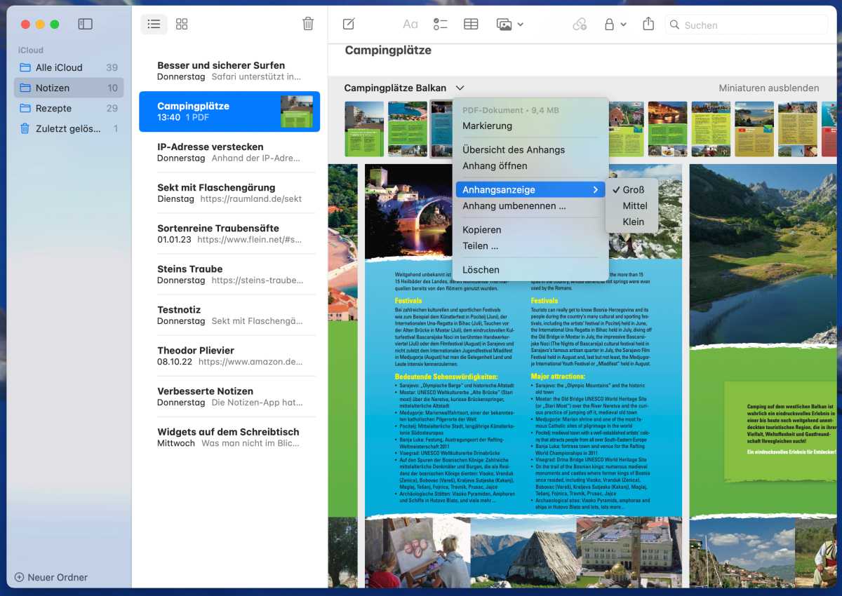 Anzeigeoptionen für PDFs in Notizen