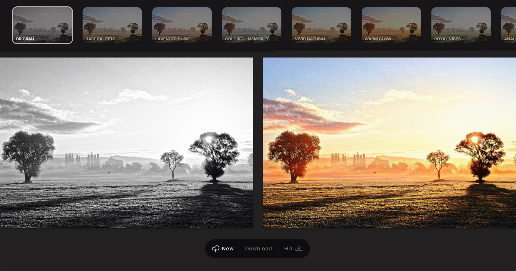 Schwarz-Weiß-Bilder online kolorieren mit künstlicher Intelligenz - PC-WELT