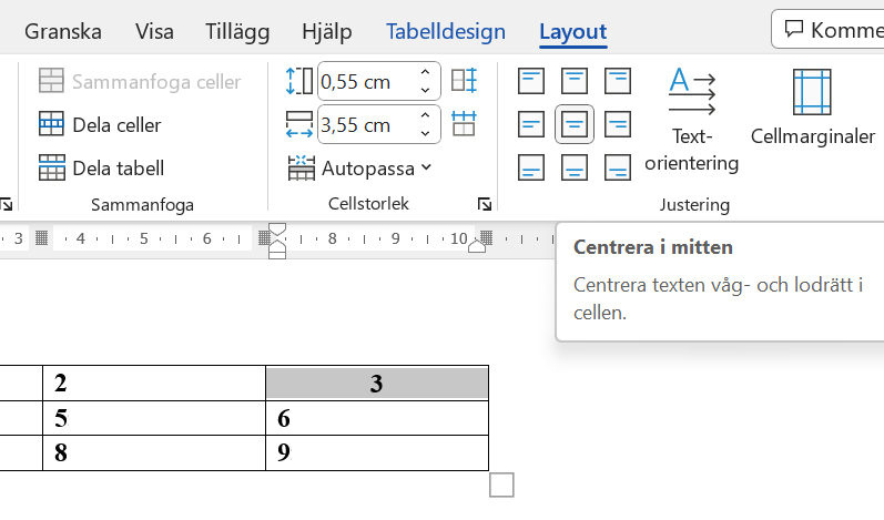 Microsoft Word