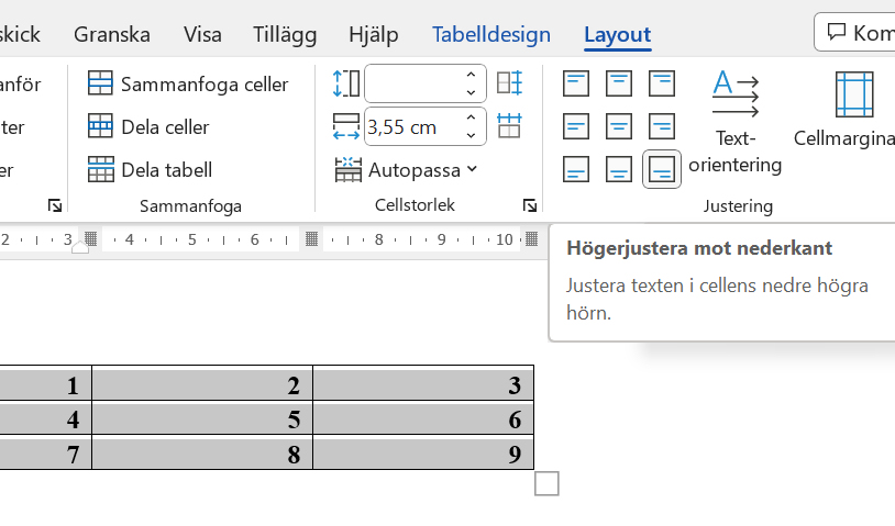 Microsoft Word