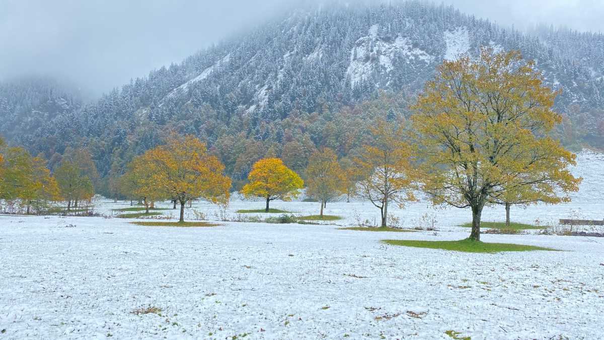 Nebel und Schnee fotografiert mit iPhone 11 Pro