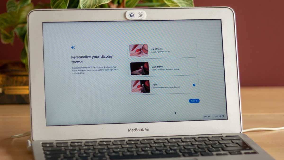 ChromeOS Flex installation 15