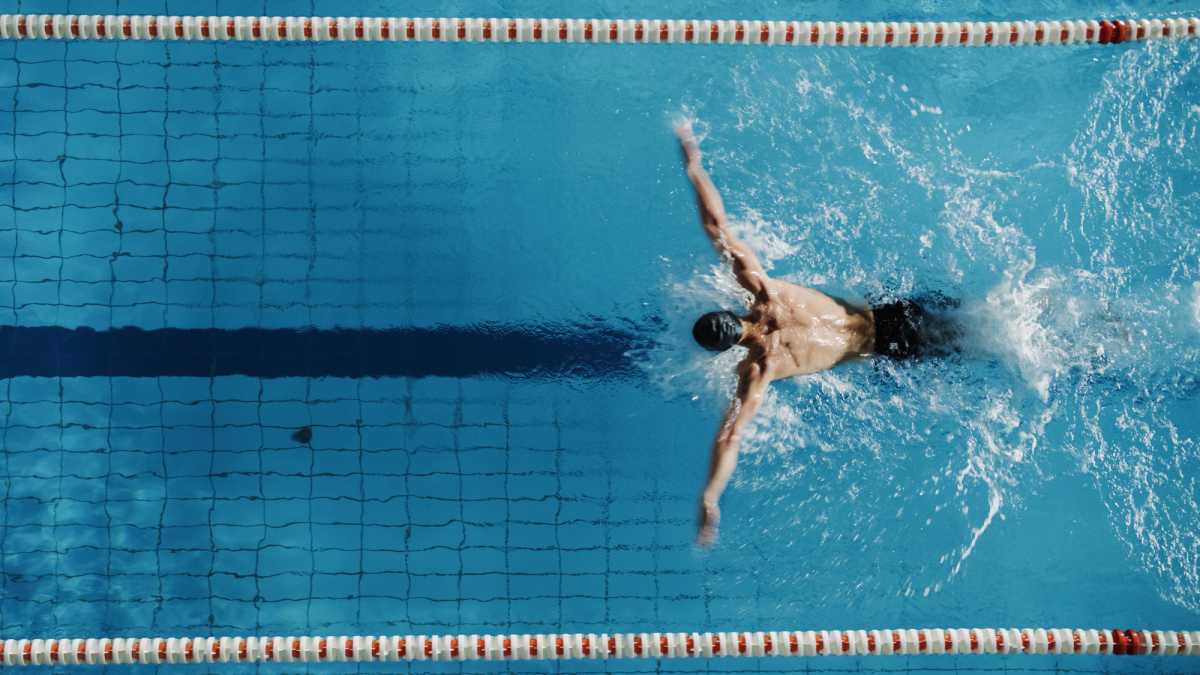 Schwimmer