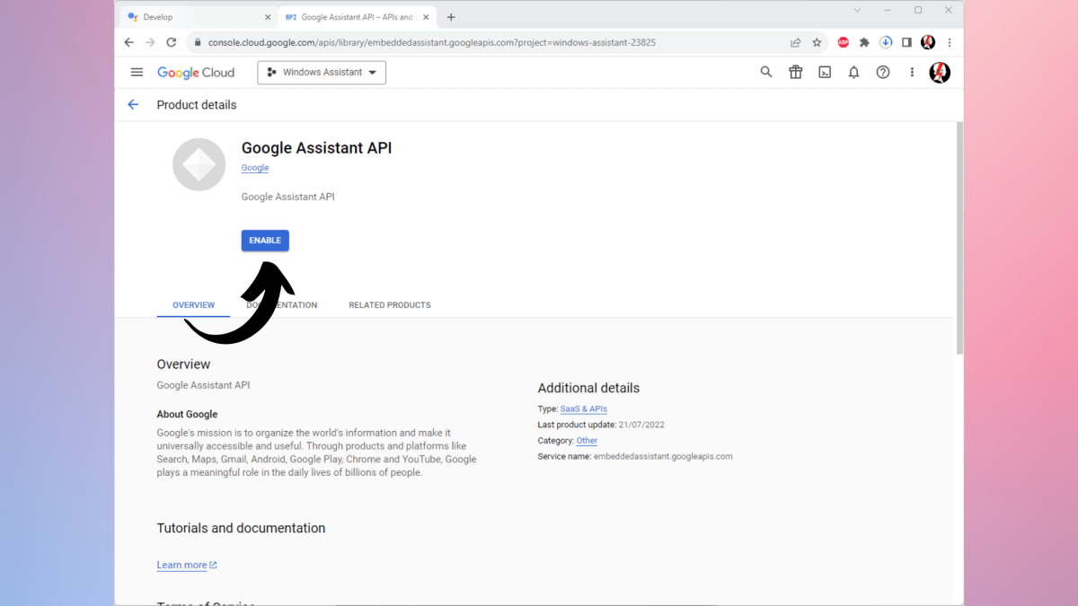 Google Assistant on Windows 11 12