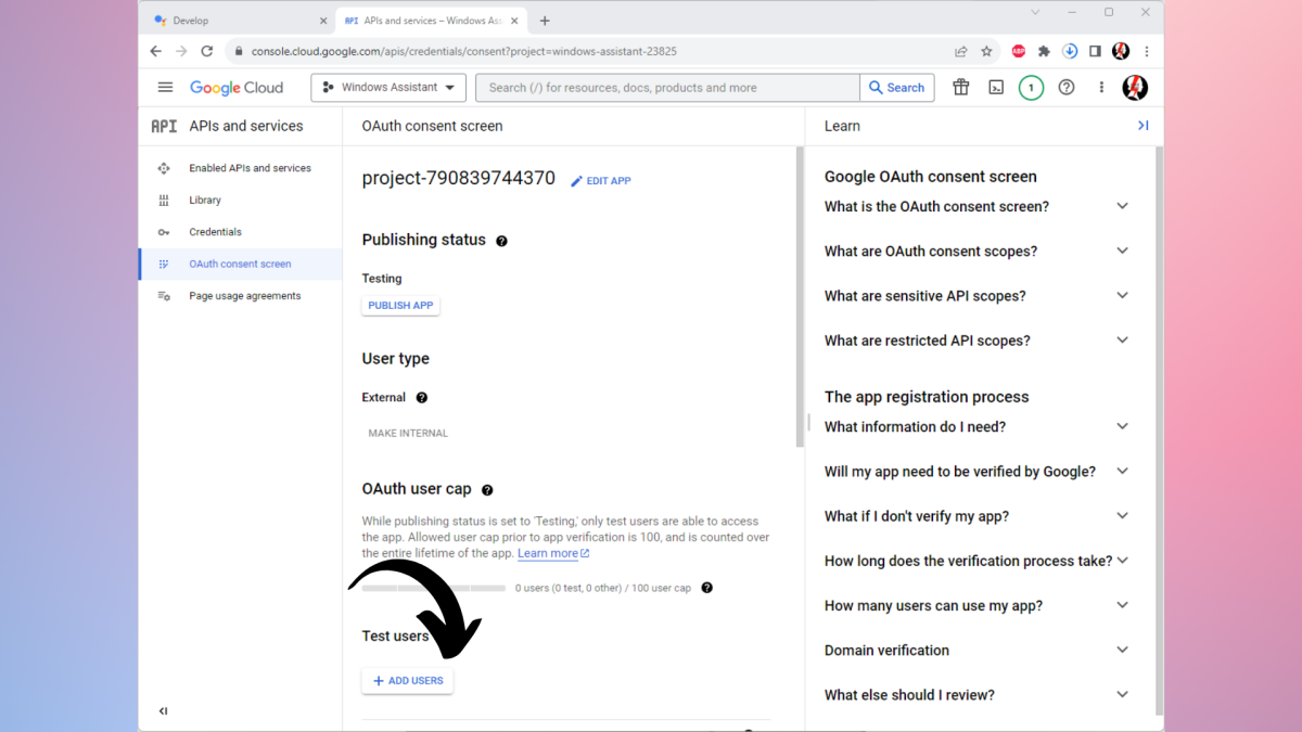 Google Assistant on Windows 11 19