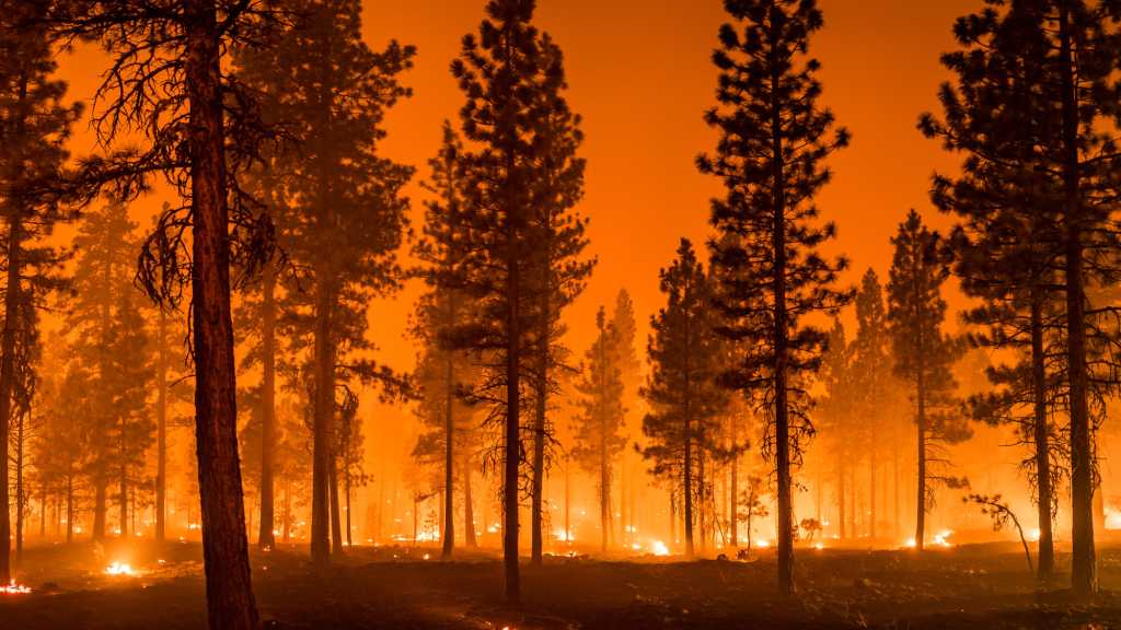Image: Satelliten-SOS des iPhone rettet vier Frauen aus Waldbrand