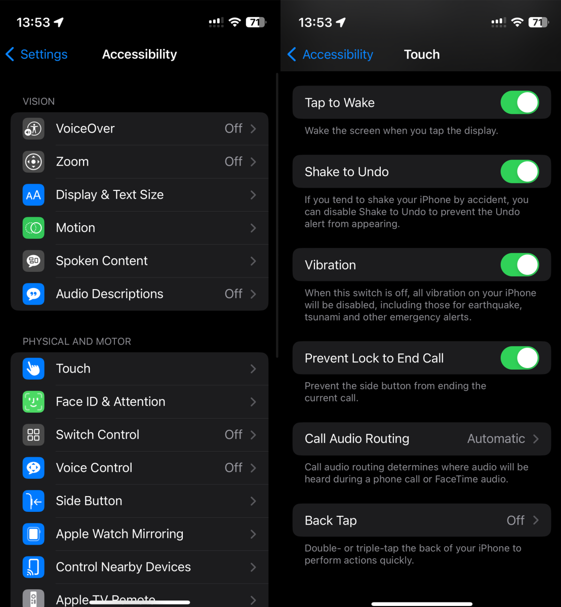 A screenshot of iOS Accessibility settings