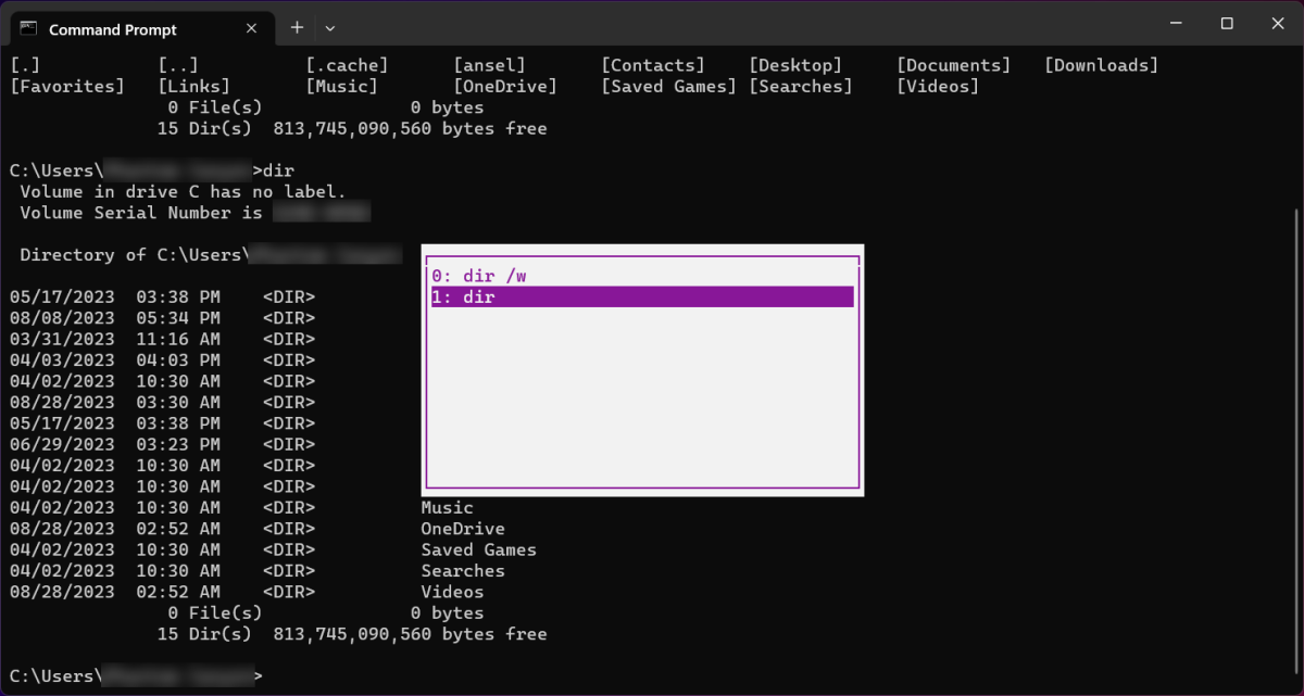 Command prompt history