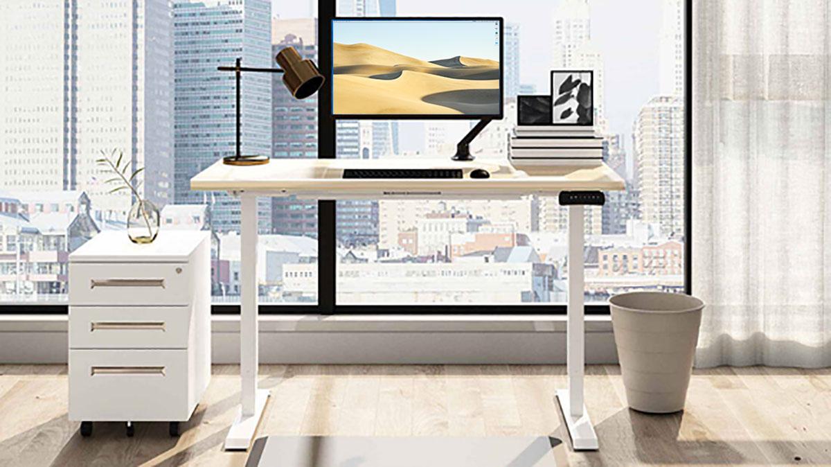 FlexiSpot ED2 standing desk