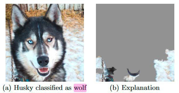 Hier irrt die KI: Jedes Tier im Schnee ist ein Wolf. Das Experiment war so gewollt, zeigt aber die möglichen Fehler, wenn man die Trainingsdaten nicht sorgfältig wählt.