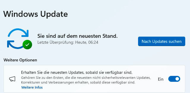 Die „Turbo-Updates“ sind eine neue Einstellung, die Microsoft im Frühsommer dieses Jahres in sein Betriebssystem integriert hat.