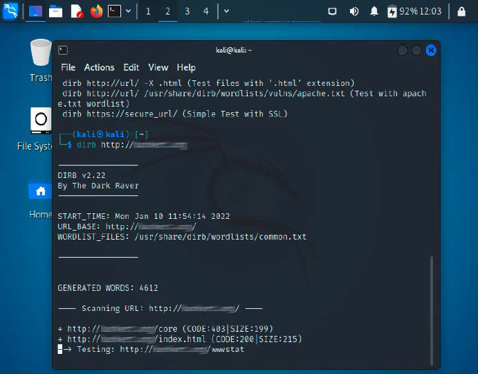 Sehr viele Tools für Sicherheitschecks findet man in Kali Linux. Das System wird von vielen Profis genutzt. Der missbräuchliche Einsatz für fremde Netzwerke ist verboten.