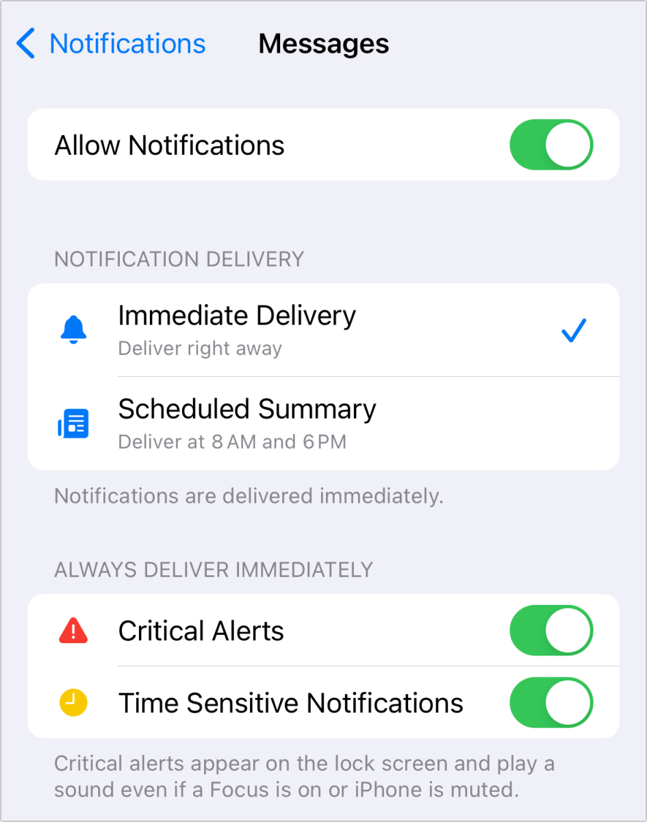 iOS 17 critical alerts