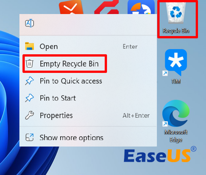 EaseUS Empty Recycle Bin Interface