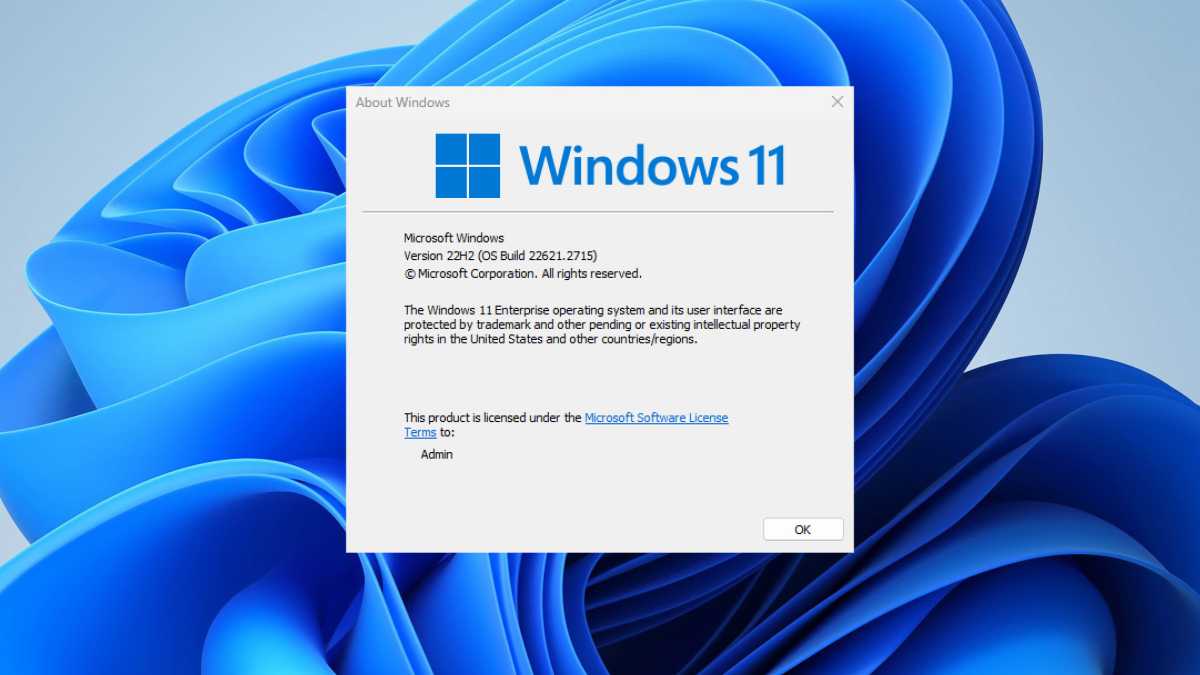 Skärmdump som visar vilken Windows 11-version som är installerad.
