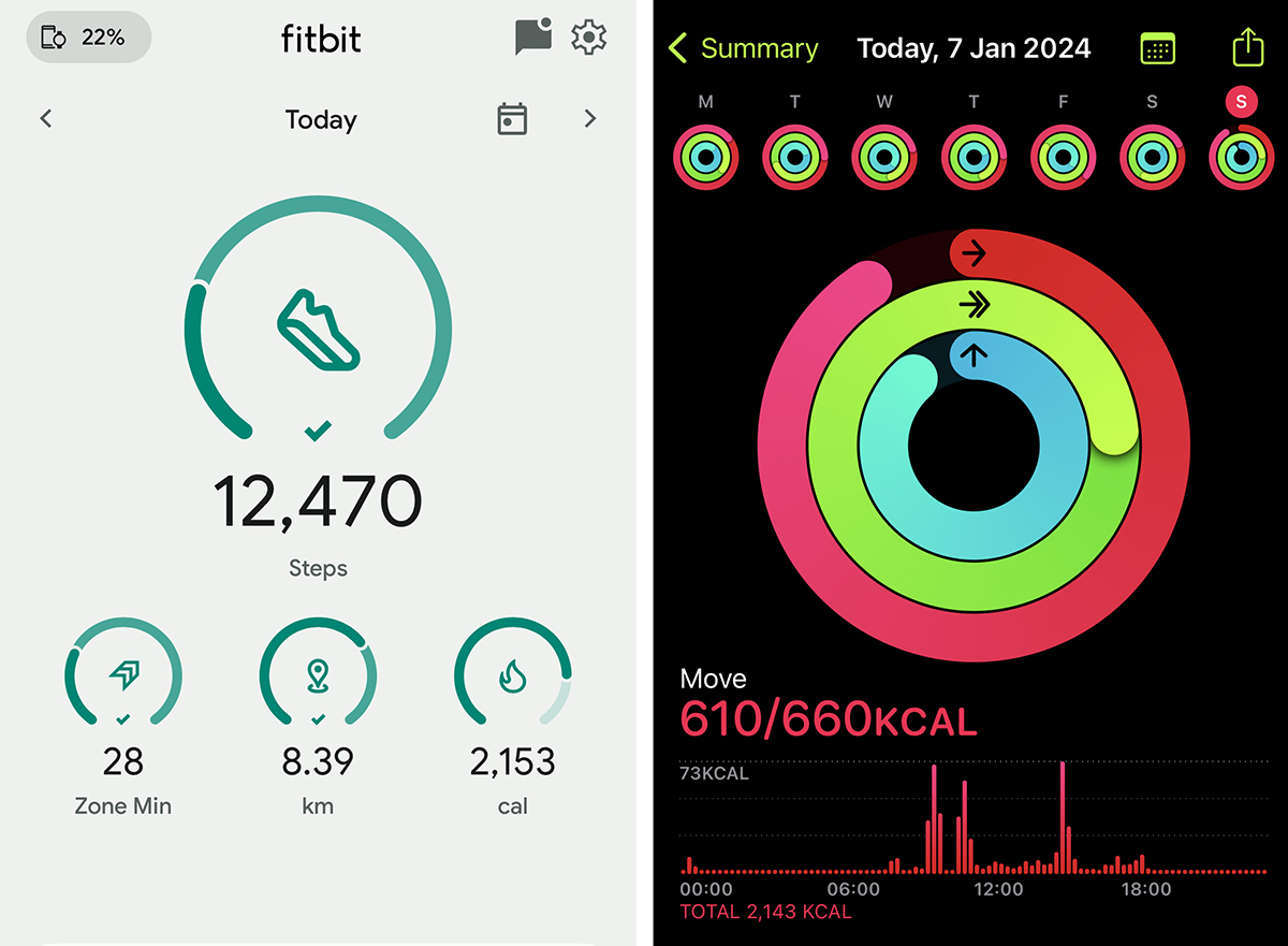 Apple watch work store with fitbit app