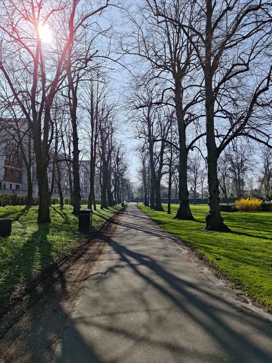 Asus Zenfone 11 Ultra camera sample