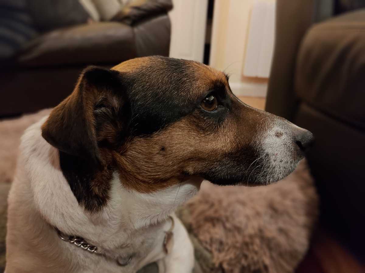 Asus Zenfone 11 Ultra camera sample