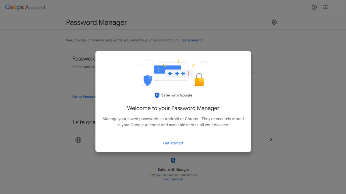 Google Password Manager (Mar 2024)