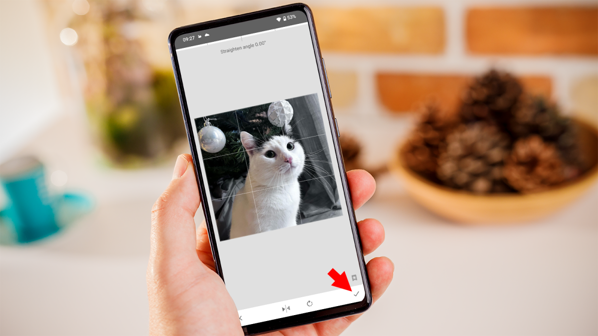 How to flip a selfie photo on Android guide