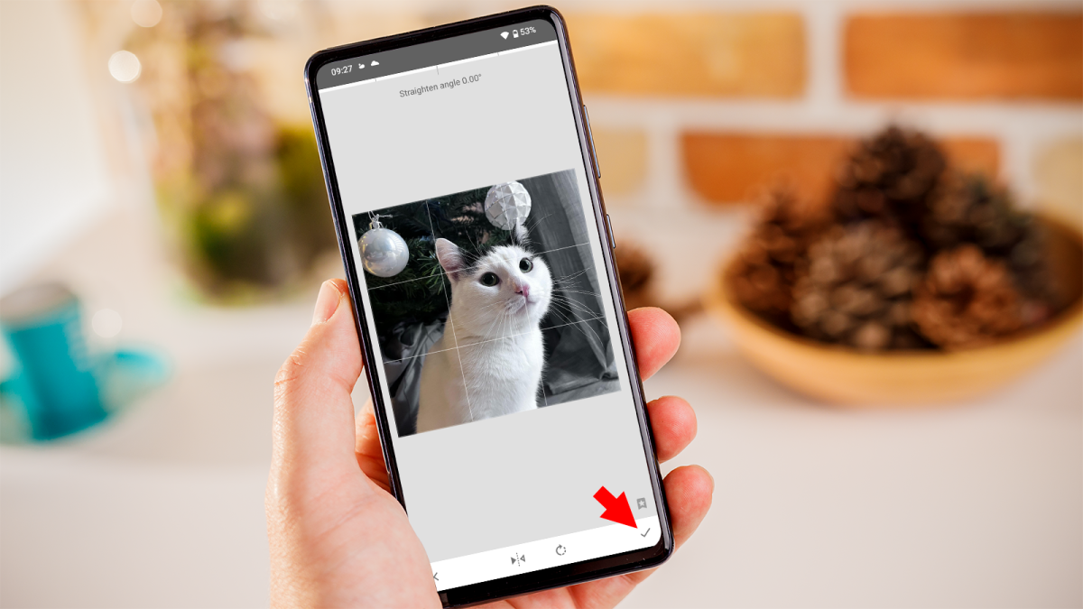 How to Flip a Selfie Photo on Android Guide