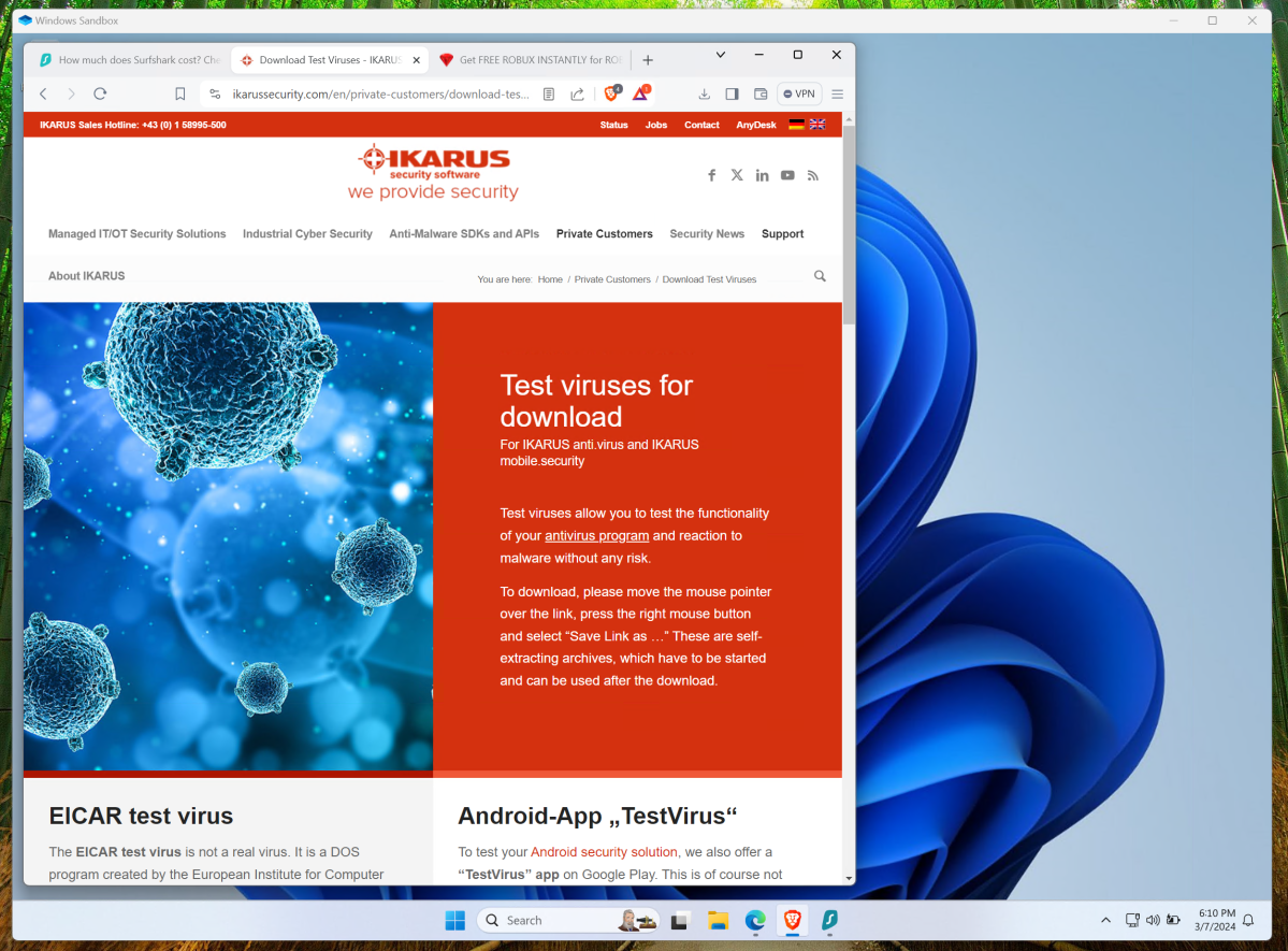 Windows Sandbox paranoia PC test viruses