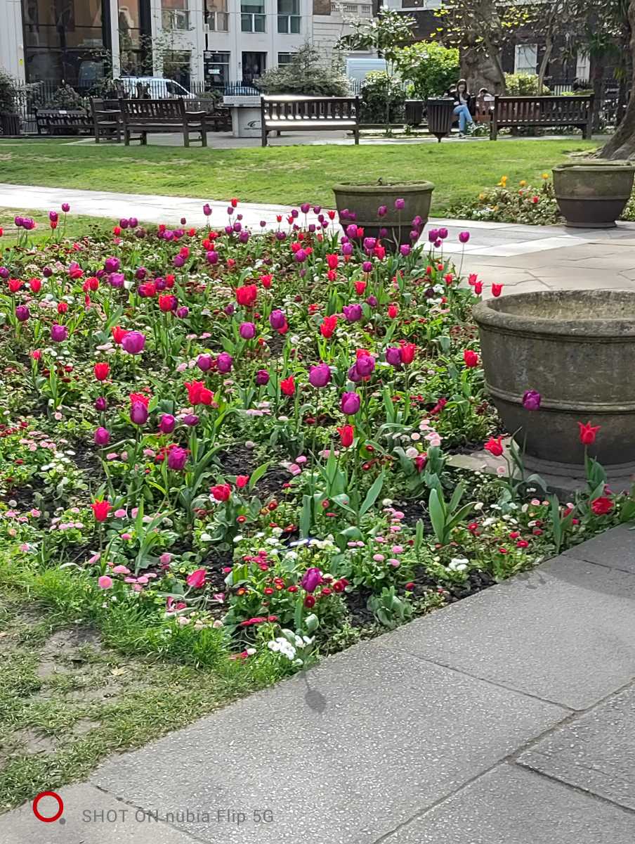 Soho Square flowers