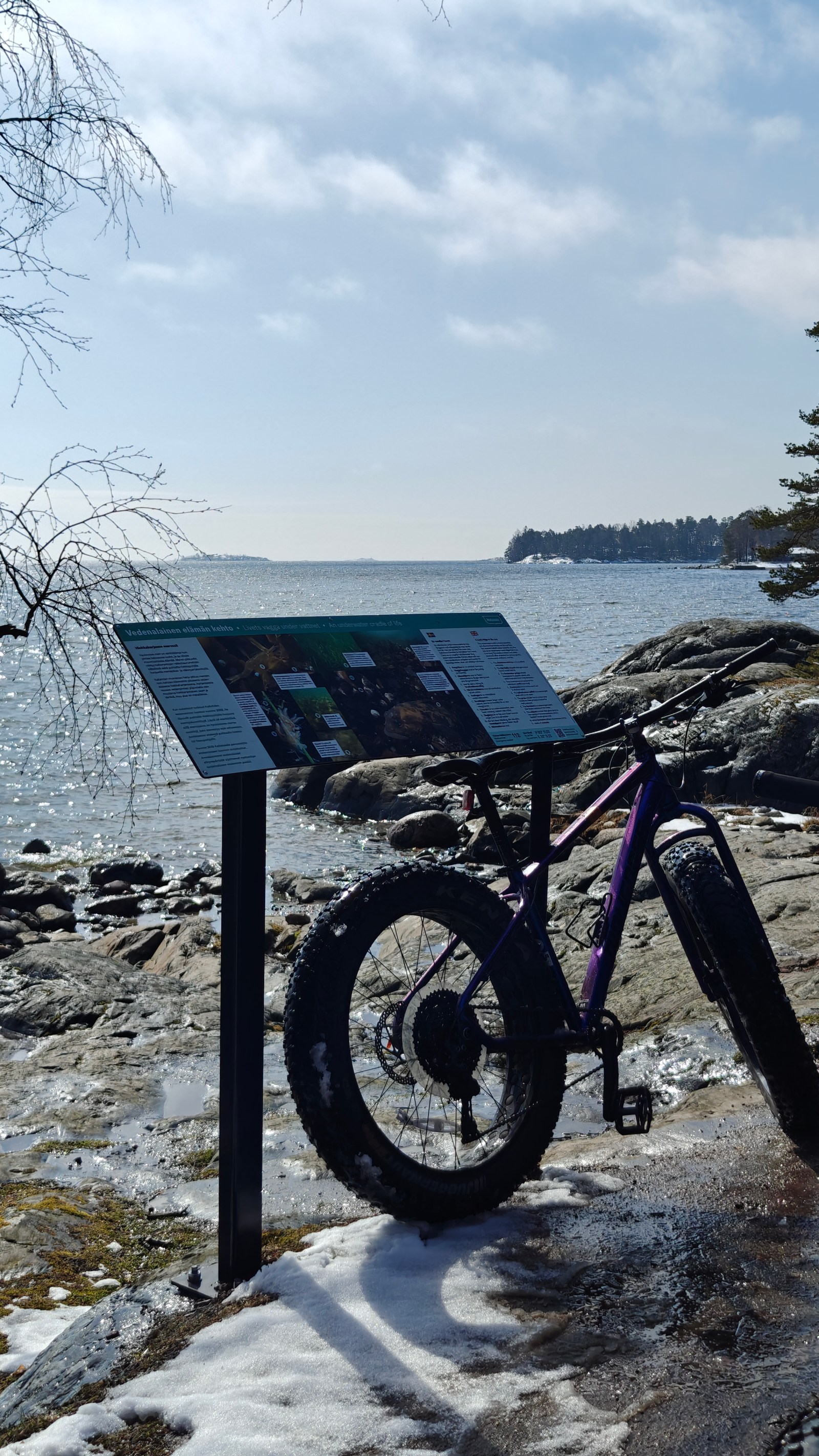 I jumped in the freezing Finnish sea to test OnePlus’s new smartwatch – here’s how it fared