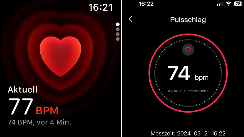 Pulse Apple Watch und Fitnessring