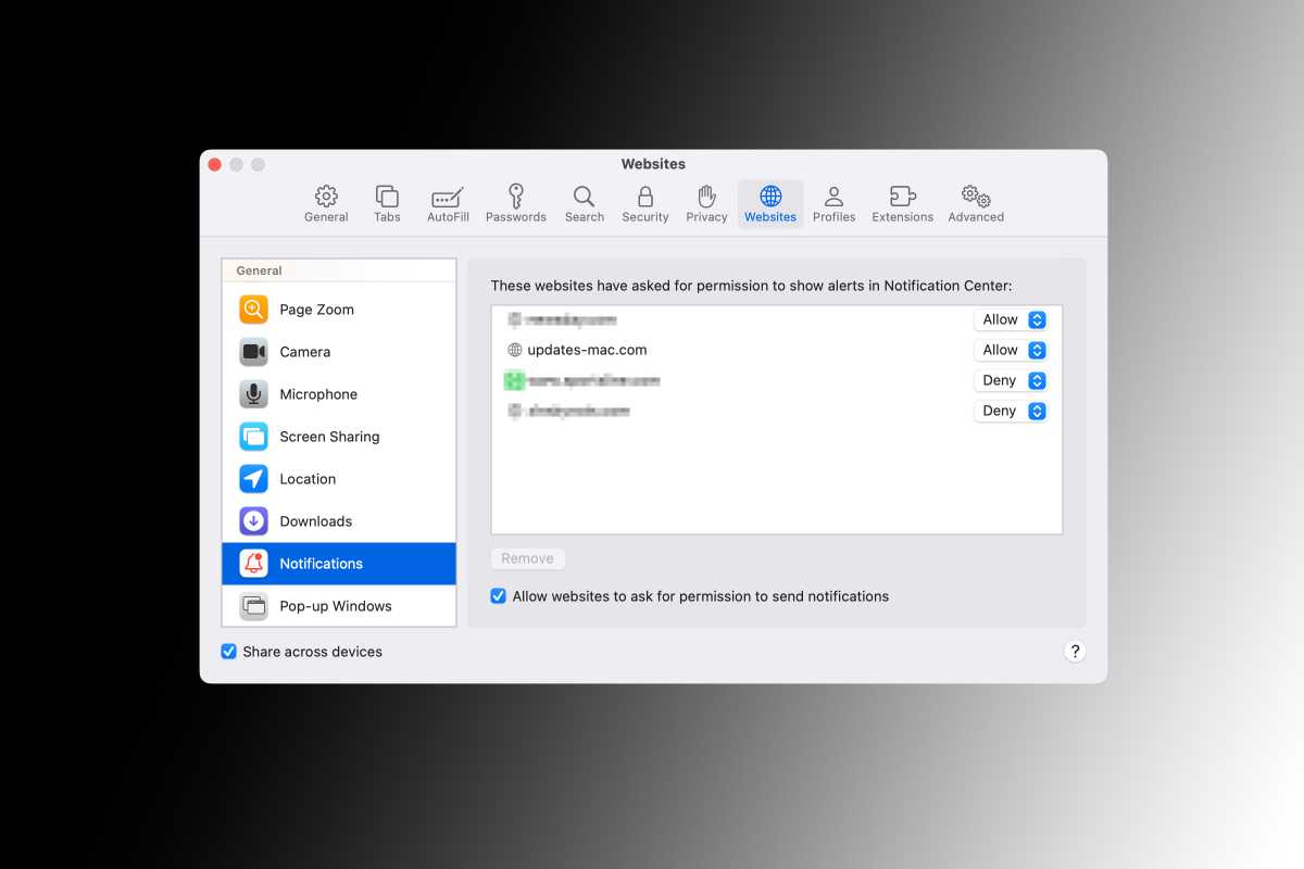 Safari website notification settings