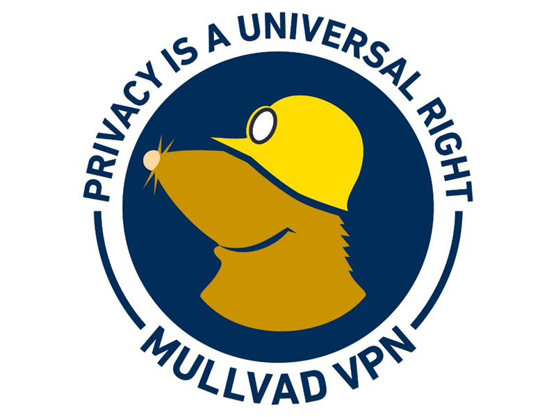 Mullvad VPN: Das beste VPN für Datenschutz
