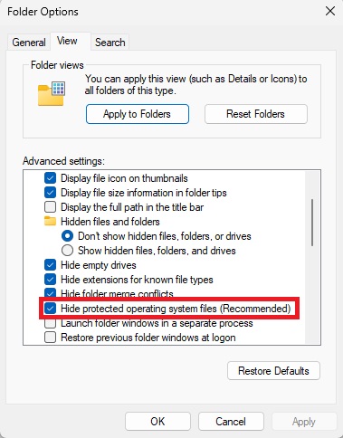 Windows Explorer view options
