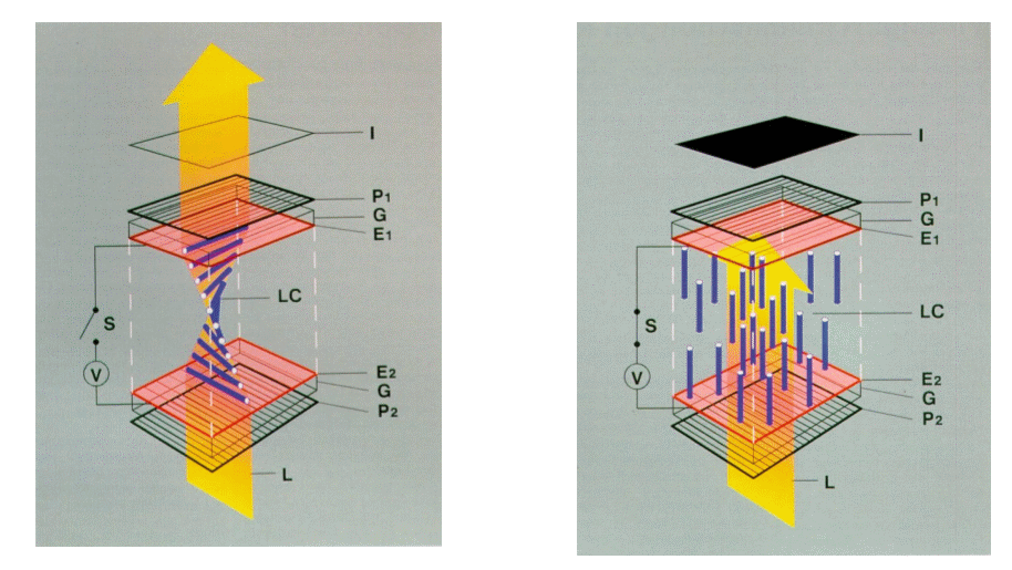 TN liquid crystal illustration