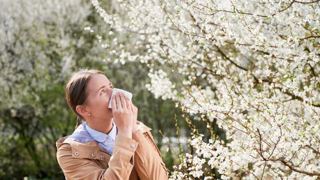 Image: Die besten Pollenflug-Apps fÃ¼r Allergiker â fÃ¼r iOS und Android