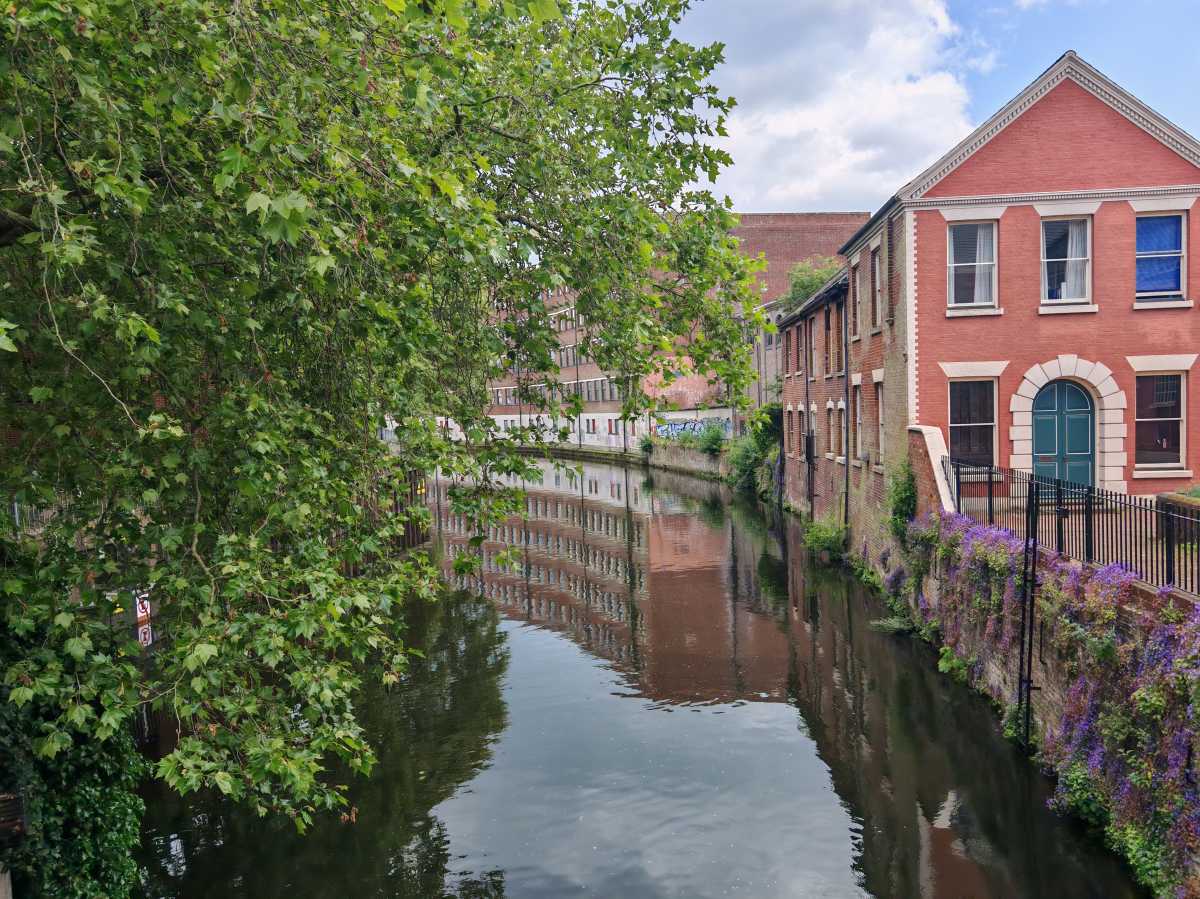 Honor 200 Pro camera sample