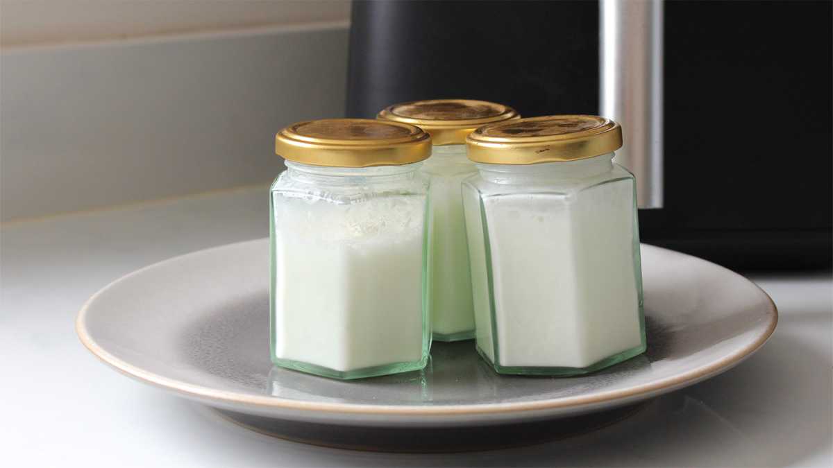 A trio of yogurt pots in front of an air fryer