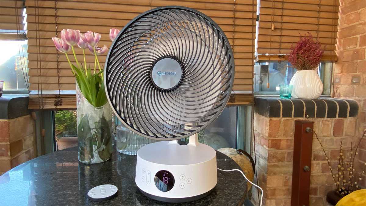 The Sefte fan on a table with a vase of flowers in the background