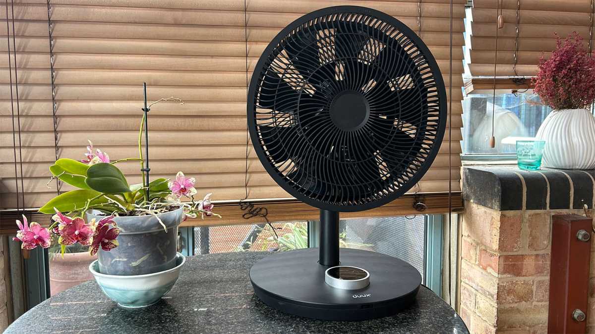 The fan in tabletop mode on a table, next to a plant
