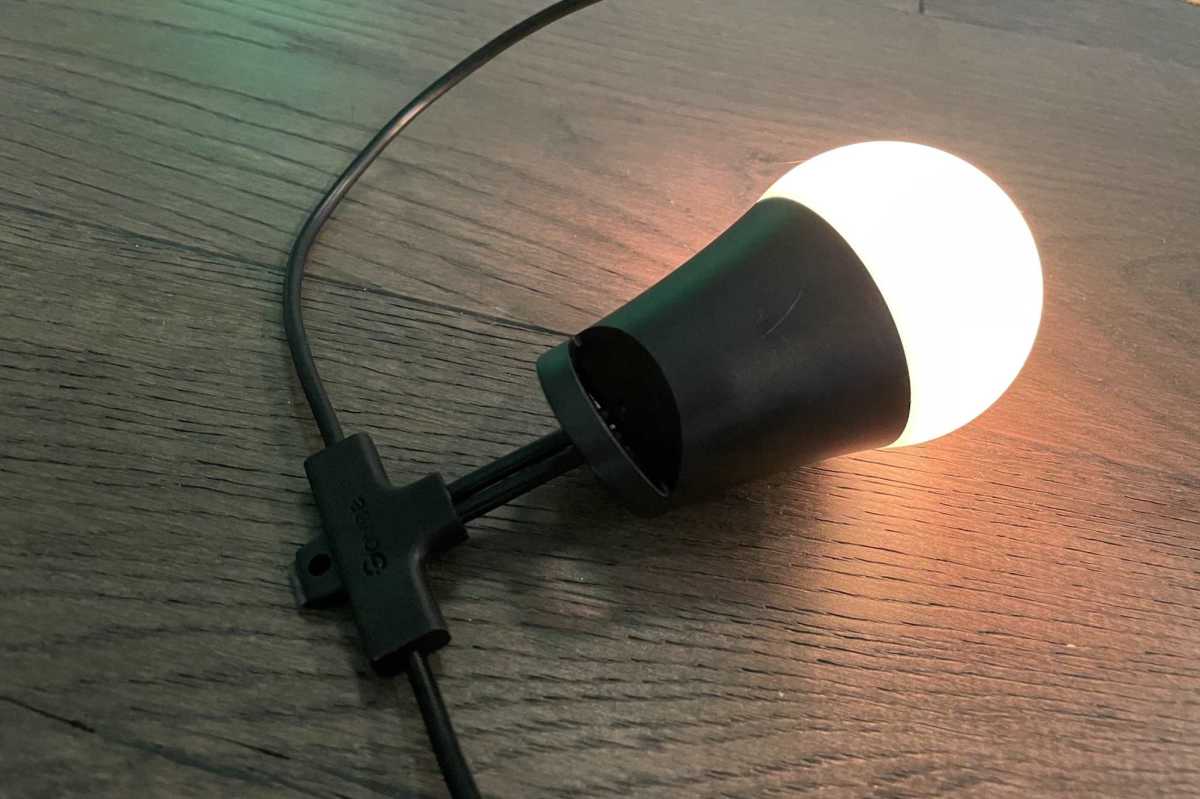 Govee outdoor string lights 2 bulb