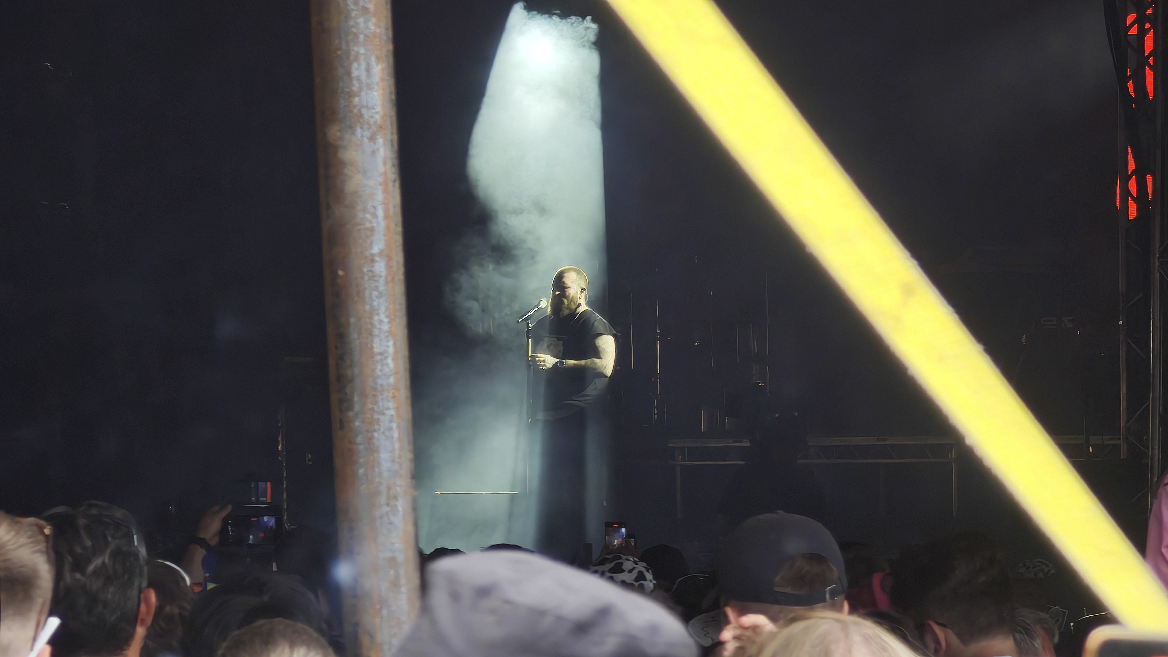 Teddy swims at Reading Festival