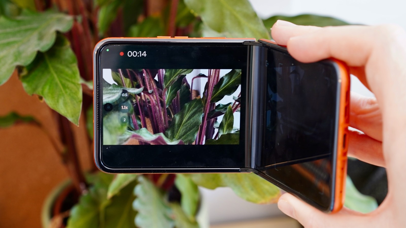 Motorola Razr 50 review: Flipping into contention