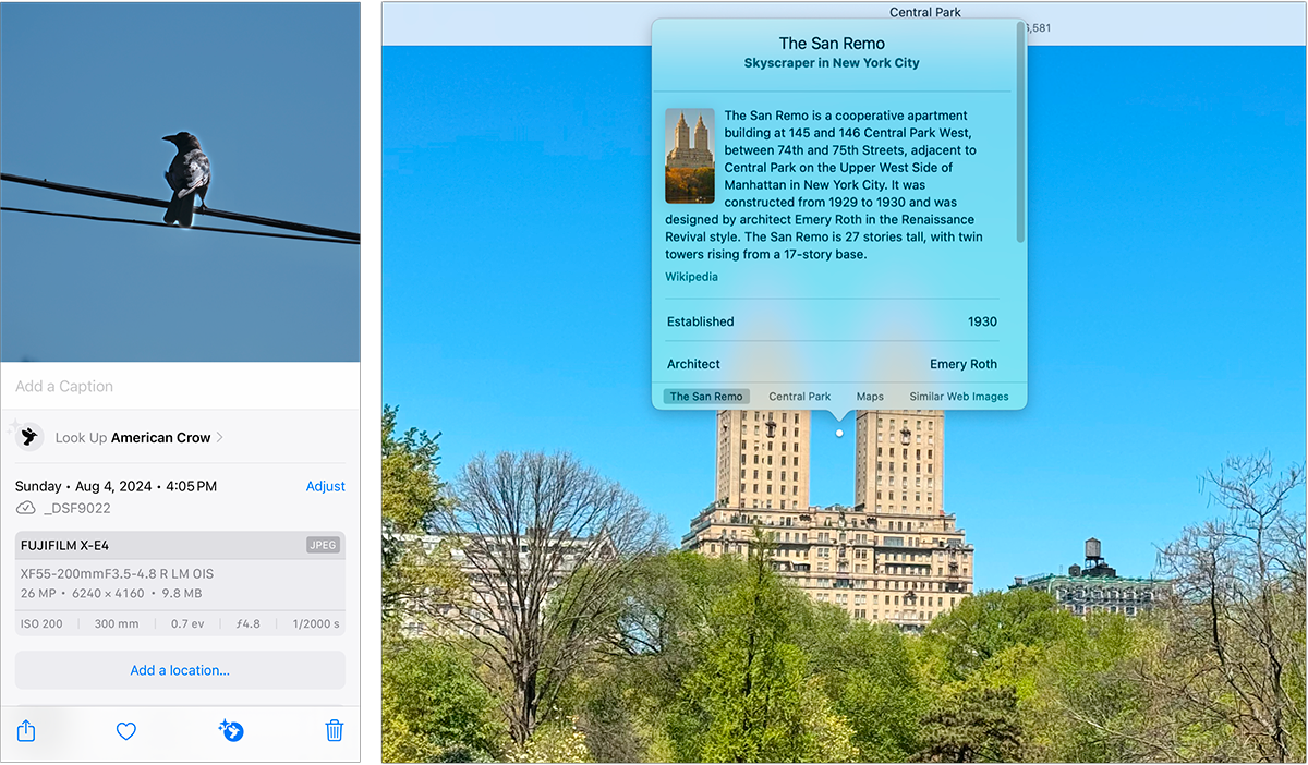 Búsqueda visual de fotografías