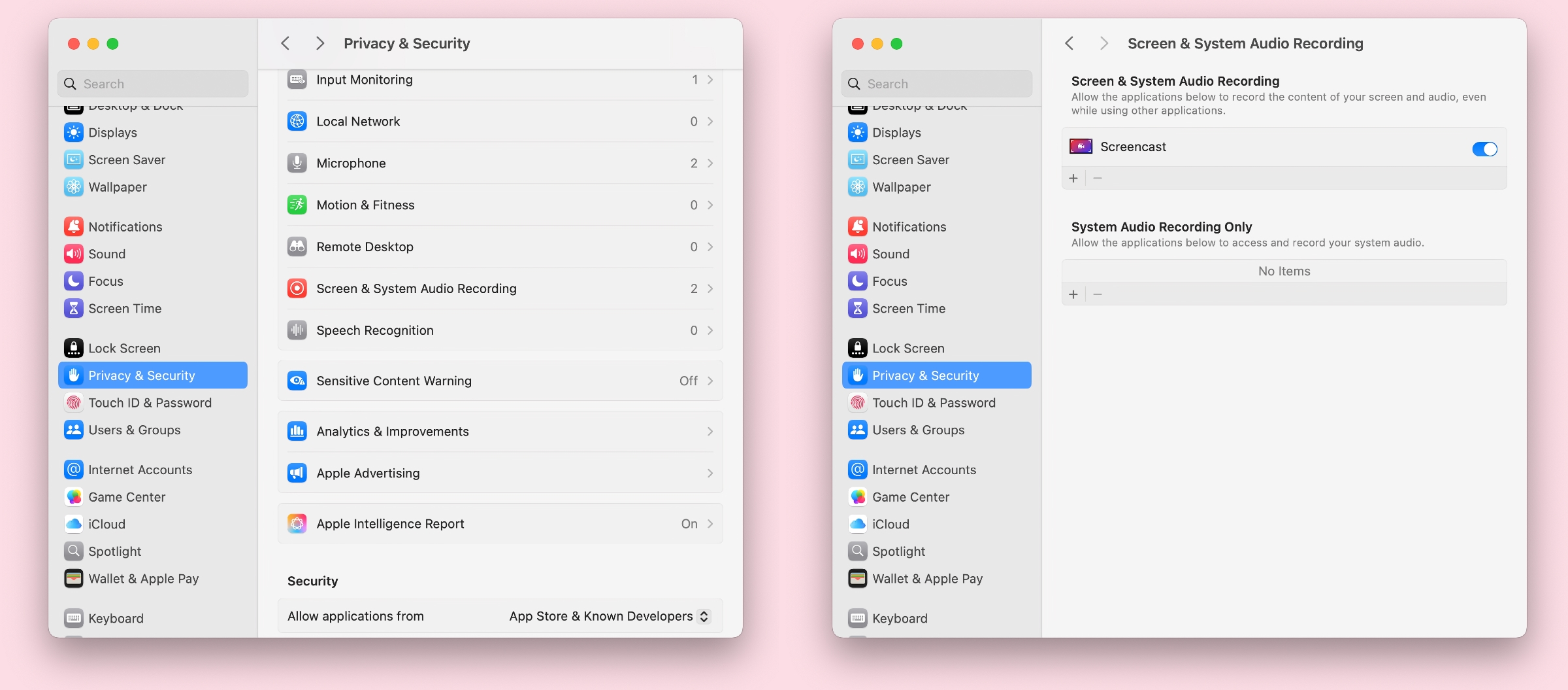 Permiso para grabar pantalla en macOS Sequoia