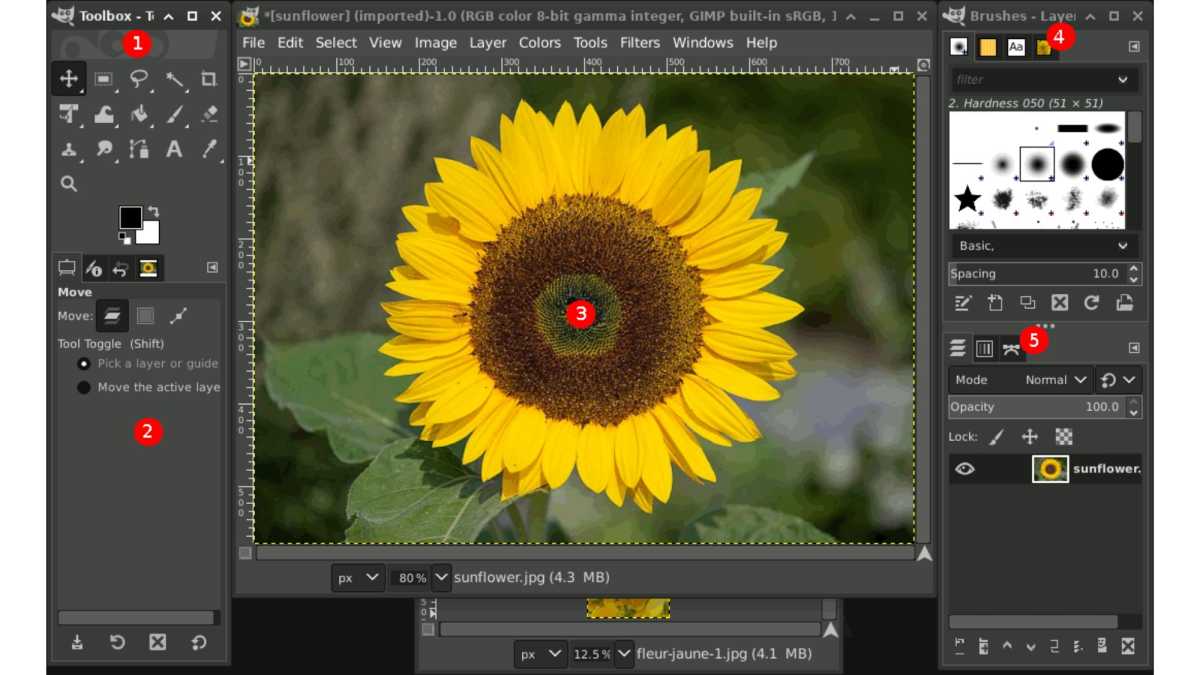 Best Free Alternatives For Pricey Software Adios Office And Adobe Best Free Alternatives For Pricey Software Adios Office And Adobe