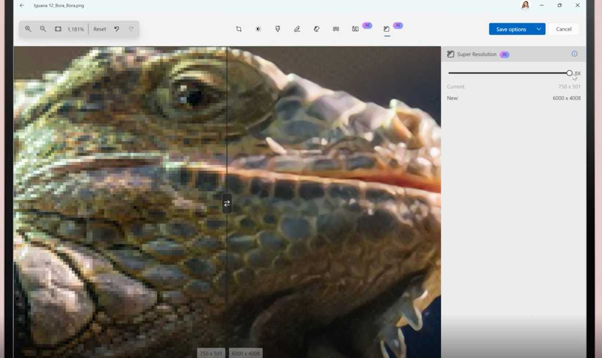 Super resolution in iguana photos