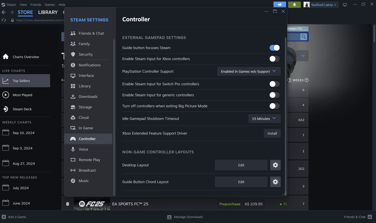 How to set up any controller for your Steam games