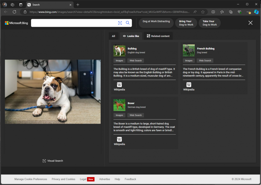 Visual Search with Bing - Photos