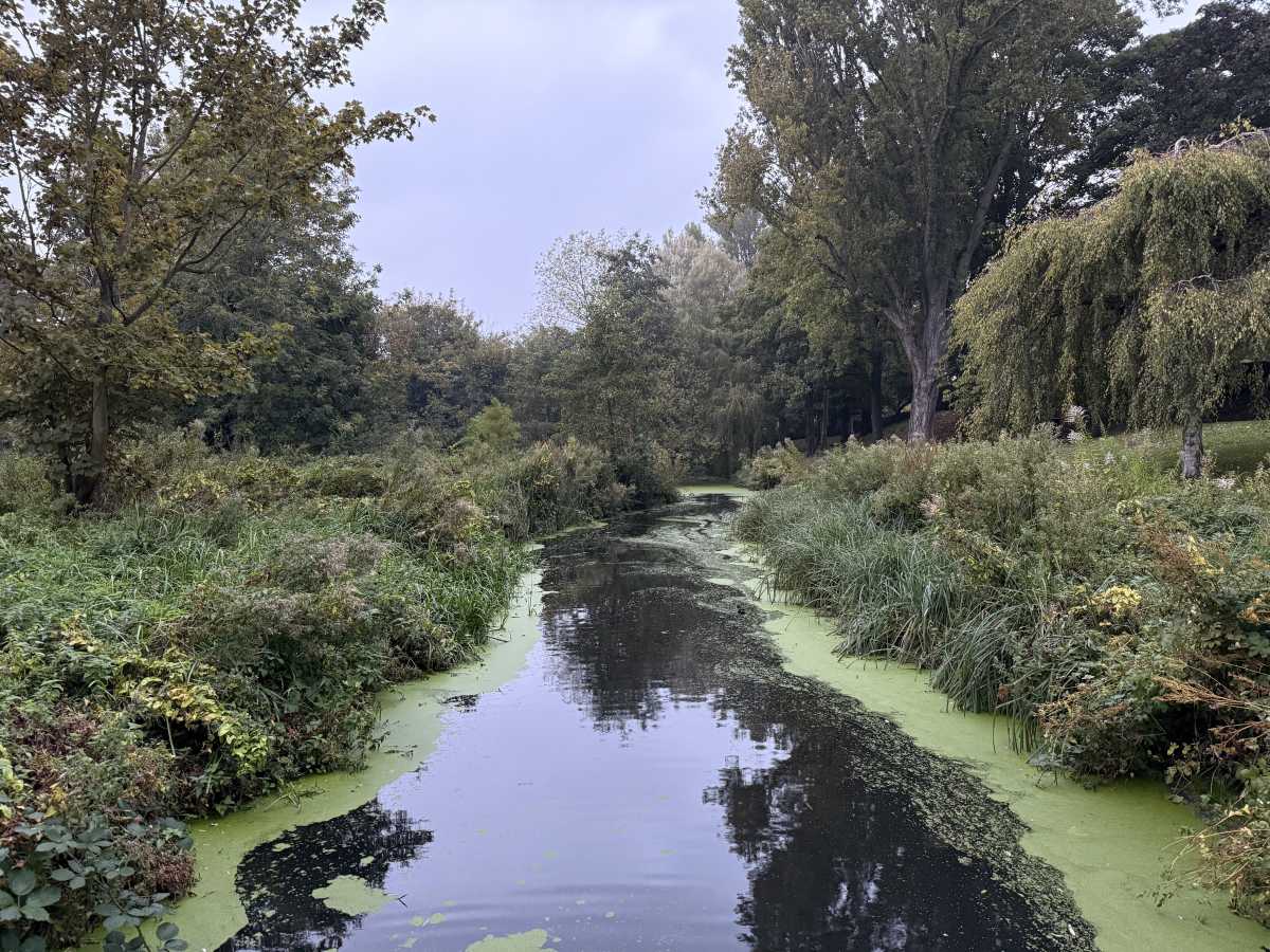 apple iphone 16 pro camera sample 3