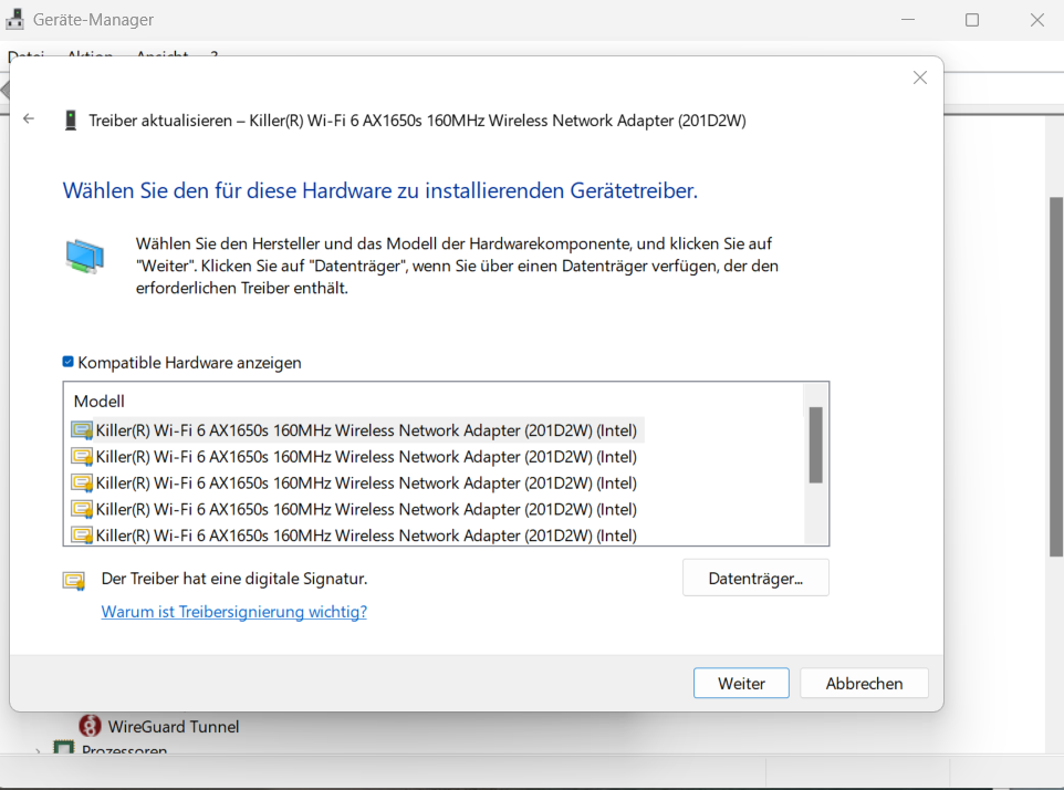 Actualización de Netzwerktreiber en Windows 11