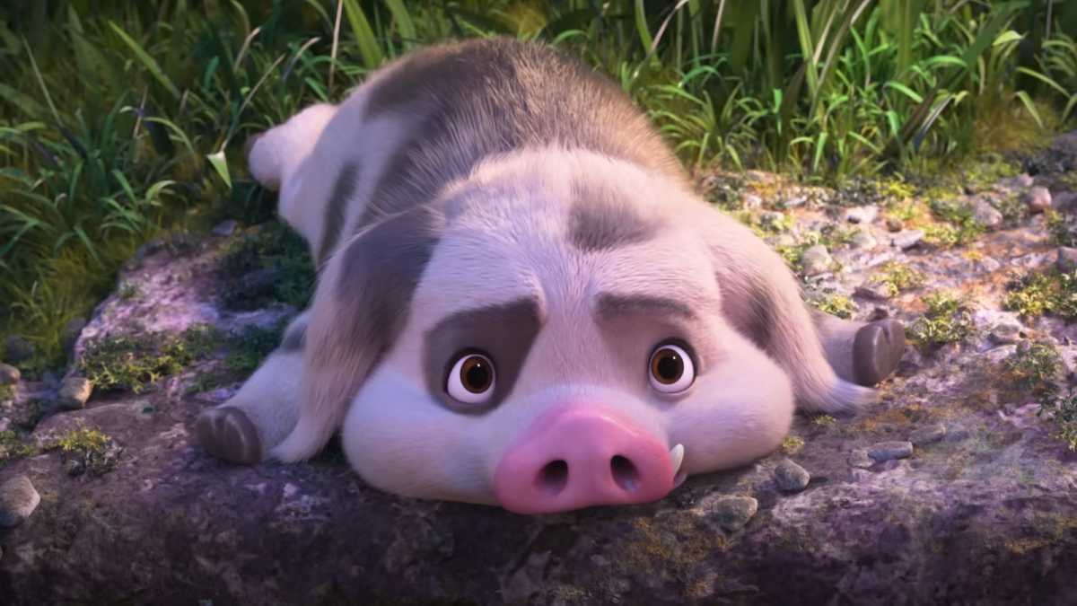 Moana 2 - the pig